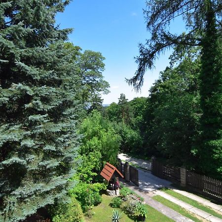 Staszica16 Apartment Zloty Stok Ngoại thất bức ảnh