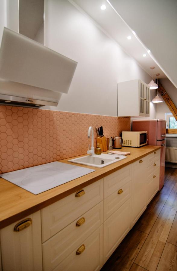 Staszica16 Apartment Zloty Stok Ngoại thất bức ảnh